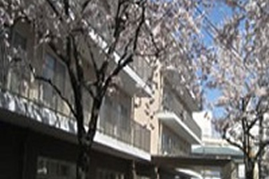 求人情報イメージ2